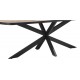 Habufa Avalox 45658 Extending Oval Dining Table - 190cm long